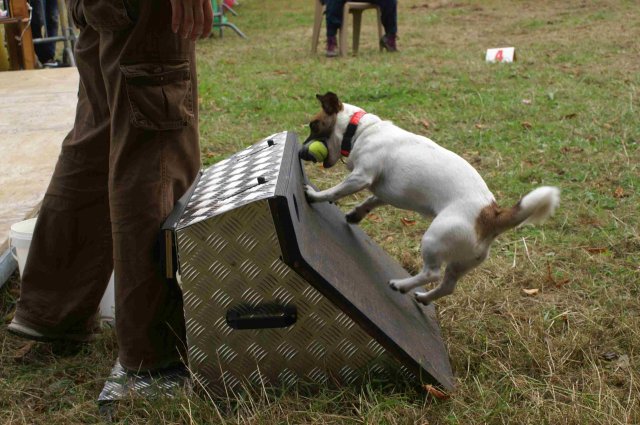 foire-haricots 2011-09-17et18